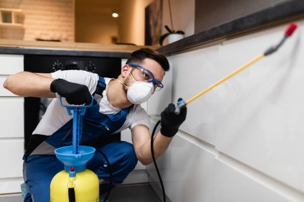 Best Emergency Pest Control  in Manana, HI