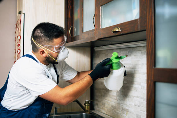 Best Pest Prevention Services  in Manana, HI