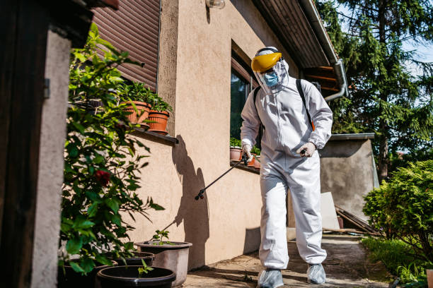 Best Wasp Removal Services  in Manana, HI