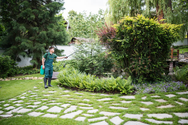 Best Ant Control Services  in Manana, HI