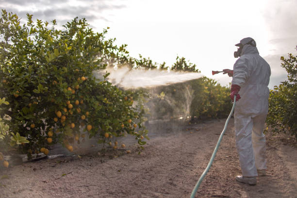  Manana, HI Pest Control Pros