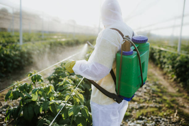 Professional Pest Control in Mahinahina, HI